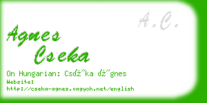 agnes cseka business card